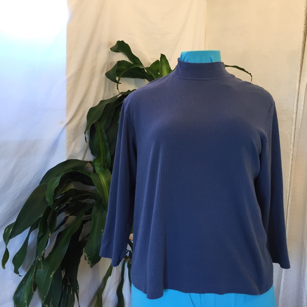 Bobbie Brooks Blue 22W Mock Turtle Neck
